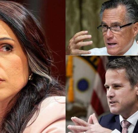 Vindicated? Gabbard probes the biolabs Romney called her a ‘traitor’ for mentioning.