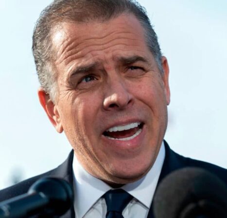 Hunter Biden Teases 2028 White House Bid with Gavin Newsom: ‘I’ll Run… as Your VP’