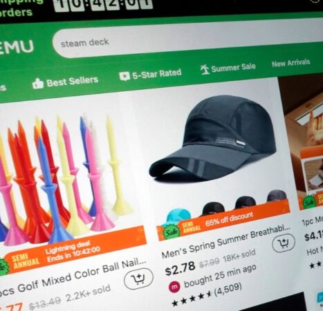 Chinese Online Shop Temu Slapped With $232 Million Fine Over Illegal Goods
