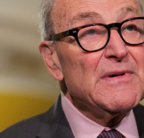 Chuck Schumer Really Doesn’t Want to Discuss Dems’ Nazi-Tattoo Toting Senate Candidate