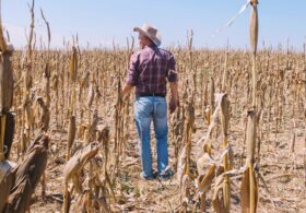 Scientists Warn Unprecedented ‘Godzilla El Niño’ Is Forming, Threatening Global Food Crisis