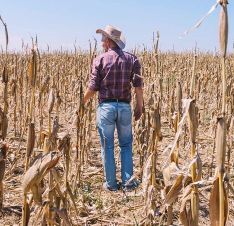 Scientists Warn Unprecedented ‘Godzilla El Niño’ Is Forming, Threatening Global Food Crisis