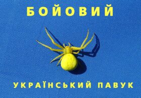 Tulsi Gabbard Declassifies Documents Revealing Extensive U.S.-Funded Biolab Network, Including Dozens In Ukraine