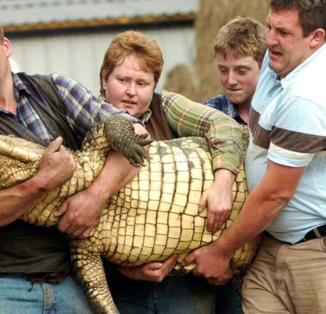 UK Man Released on Bail After Throwing 3-Year-Old Into Crocodile Pit, Deemed ‘Unfit’ for Police Interview