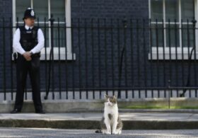 Starmer’s Gone: Who Will The Next Fool Be?