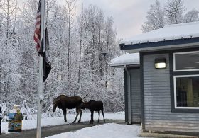 Are California Democrats Surging Cash to Turn Alaska Blue?