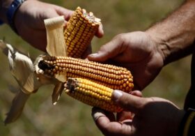 Ethanol Industry Donations Now Heavily Favor Democrats