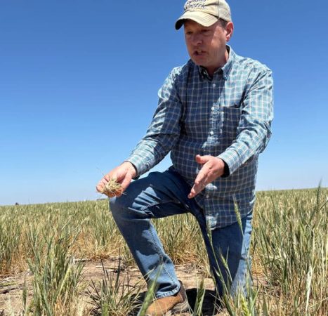 Top Economists Warn of Looming Financial Collapse, Global Famine