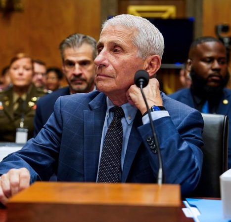 Fox News legal contributor: Senate will lose Fauci contempt fight
