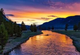 ‘White enslavers’: Appeals court says Trump CAN cancel national parks propaganda