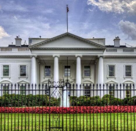 Unhinged MSNBC Analyst: ‘Criminal’ Trump Is Trying to Distract Us from the Fact that ‘a Crime Family Is Atop the White House’