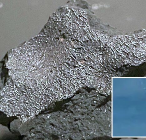 ‘Alien chemistry’ meteorite that slammed NJ home is among rarest space rocks ever recovered