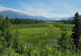 This Is What a Heat Wave in Alaska Looks Like