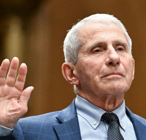 Florida, Louisiana and Alabama launch investigations into Fauci
