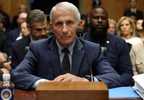 Senate Committee Votes to Hold Fauci in Contempt of Congress