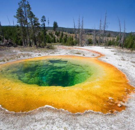 NEW: Huge Earthquake Rocks Yellowstone Just Miles From Supervolcano ‘Overdue’ For Eruption
