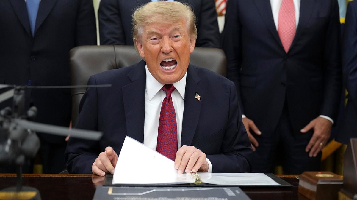 Trump orders shock voter fraud crackdown across nine states as secret ICE blitz starts TOMORROW 110959287 0 image m 12 1788208966970