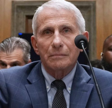 Senate committee votes to hold Fauci in contempt