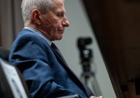 Senate Panel Has Obtained Copy of Fauci’s Government Cellphone