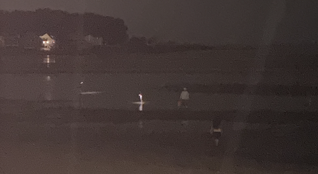 BREAKING EXCLUSIVE: Illegals Raping Natural Resources In Westport, Cops Don't Care, Town Doesn't Care, State Doesn't Care Beach2 1024x562 1