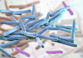 Leprosy cases climb in Florida: Here’s how to reduce your risk