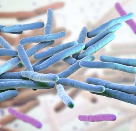Leprosy cases climb in Florida: Here’s how to reduce your risk