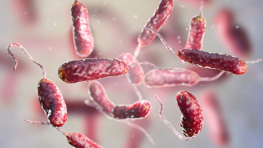 Why are flesh-eating bacteria expanding beyond traditional hotspots? icus e1787935089884