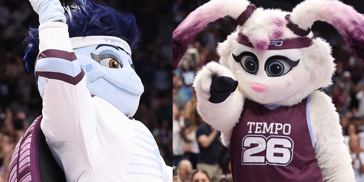 WNBA team reveals snapping turtle mascot with 'she/them' pronouns — and gets hilarious backlash wnba team reveals snapping turtle mascot with she them pronouns and gets hilarious backlash