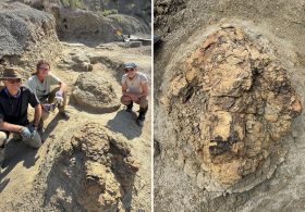 US archaeologists unearth first footprints of running T-Rex: ‘Incredibly rare’