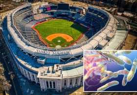 Legionnaires’ bacteria detected in 10 Bronx cooling towers, including Yankee Stadium: NYC health officials