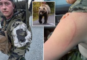 Alaska moose hunter remarkably survives bear attack: ‘Glad I blacked out’
