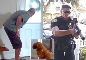 Worst guard dog in the world exposed by Ring camera in San Diego — and the breed won’t surprise you