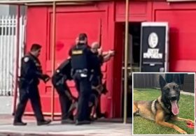 Police dog burned as suspect tries to torch adult store in San Diego shooting