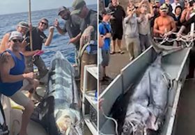 Fishermen make record-breaking catch off California coast