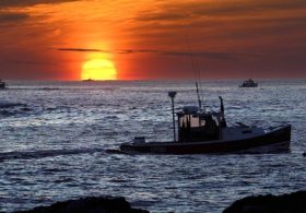 Maine’s lobster industry finds itself squeezed on all sides amid Canada trade war