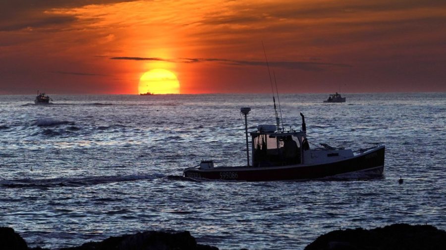 Maine’s lobster industry finds itself squeezed on all sides amid Canada trade war 64a70737c23bc958356378 e1789329223131