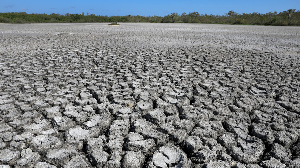 Heat not seen ‘for the last 100,000 years’ – climate monitor 6aa277502030271a444c45cc