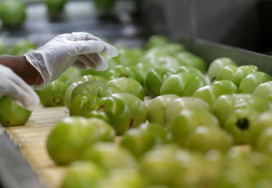 Fairness for growers is food security for America AP20042544367852