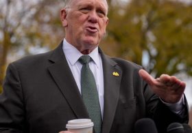 Homan denies ICE plans to monitor polling stations in midterms