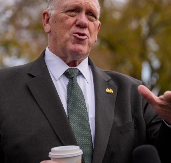 Homan denies ICE plans to monitor polling stations in midterms