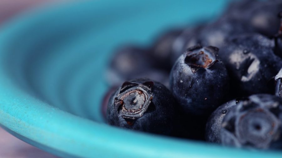 Compound in blueberries may help muscles burn fat, study finds GettyImages 528099924 e1789382951579