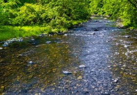 Data Center Dumps Tanker-Truck-Sized Load of Diesel Fuel Into Creek