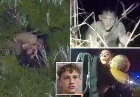 Florida DUI suspect drops baby, toddler into gator-infested swamp while running from cops: video