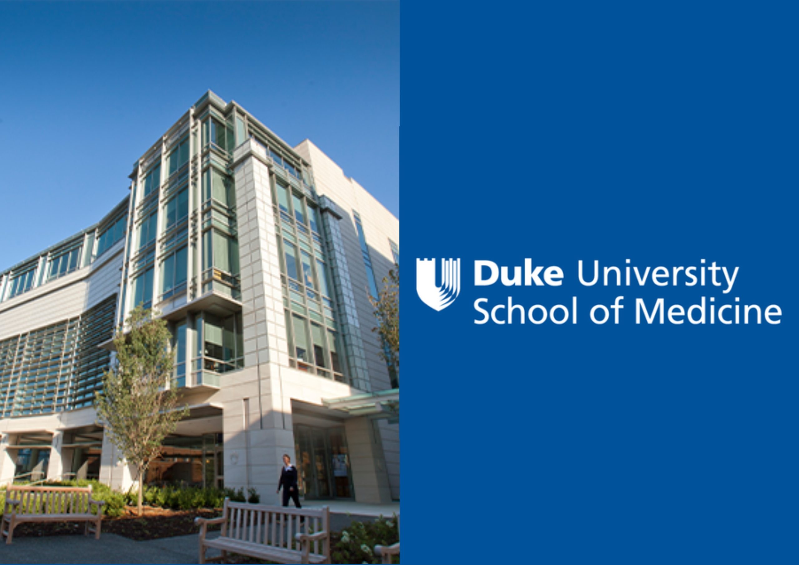 Duke Medical School Discriminated Against White and Asian Applicants, US Government Says MixCollage 09 Sep 2026 05 36 PM 2821 scaled 1