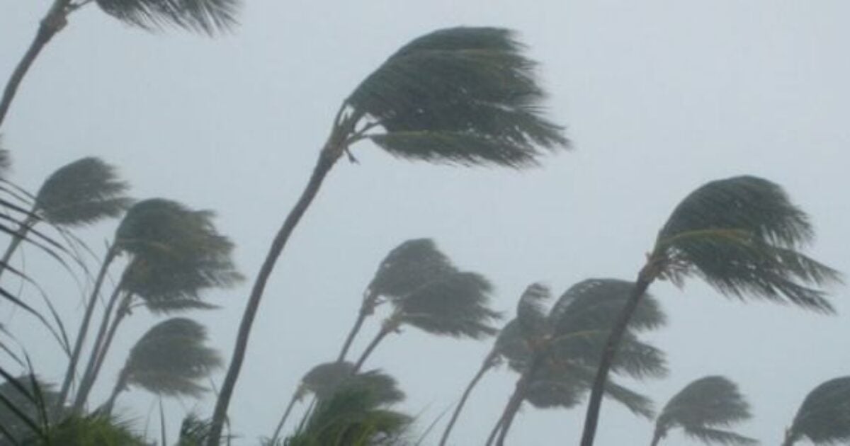 ZERO hurricanes formed by peak 2026 season, and climate alarmists hope you don’t hear about it Palm trees hurricane 1200x630 1