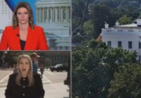 American Patriot Drops Massive Truth Bomb Live on CNN as ‘Reporter’ Whimpers About Getting Blocked from Entering the White House