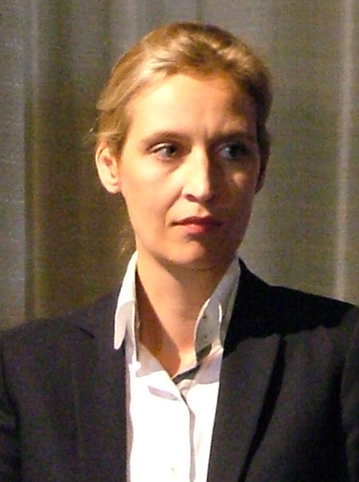 German AfD Leader Says The Quiet Part Out Loud — Globalists Are Maoists d 102