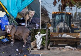 Deadly rat urine disease linked to infested RV after hazmat crews swooped on massive California tent city