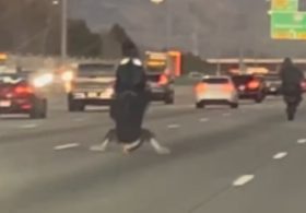 Showboating Motorcyclist Eats Asphalt After Idiotic Stunt on Busy Idaho Freeway