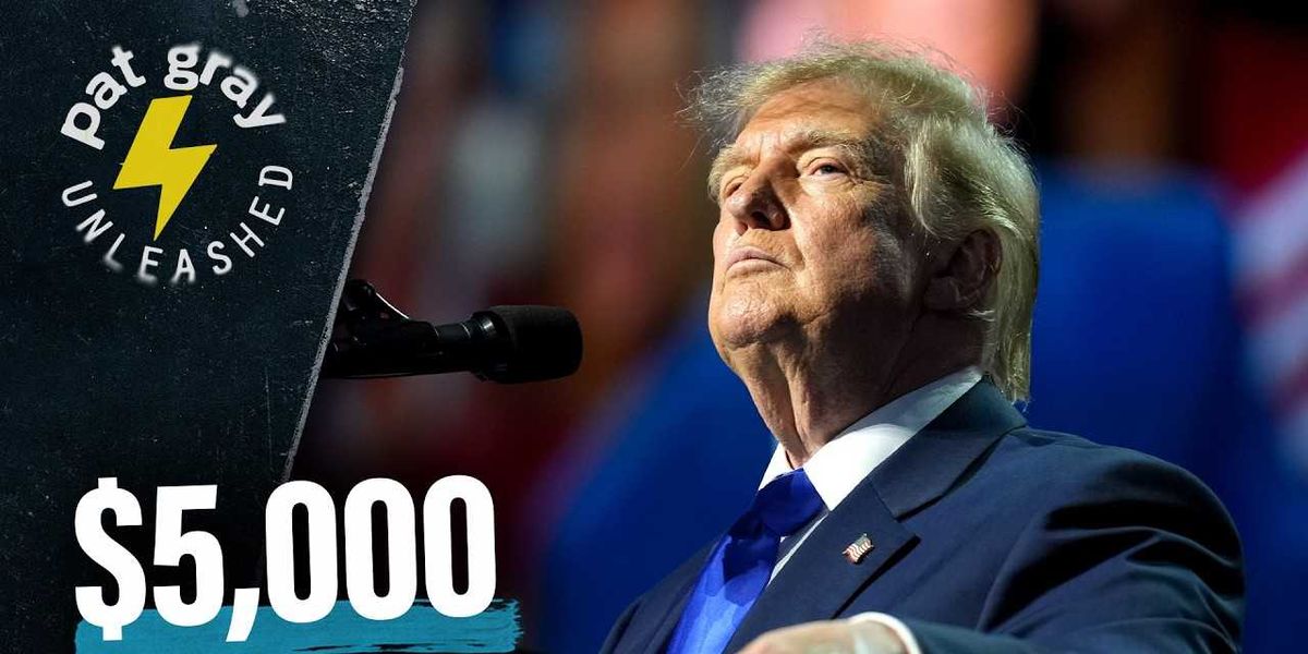 Trump offers Americans $5,000 if Republicans win both chambers: 'Socialism is cool when our side does it' image 934